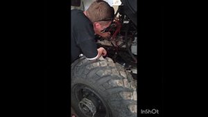 Оживляем шишигу