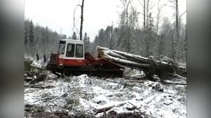 Лес  30 летний юбилей ГК  Вологодские лесопромышленники