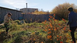 Плохое настроение.Убрали цветы.Утеплила отдушины.