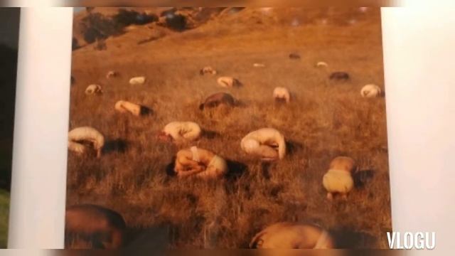 COSMOSCOW 2021 #tvmixru Matveev A. #omttvnews смотреть онлайн