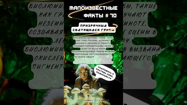 Призрачные светящиеся грибы |Малоизвестныефакты|2сезон| #70