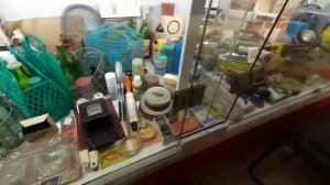 Ретро Музей в Варне. (АВТО музей)