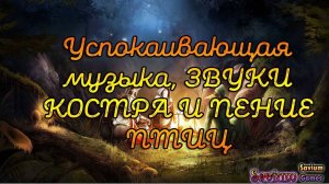 Успокаивающая музыка, природа, звуки костра и пение птиц ночью в лесу.