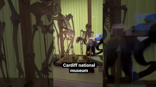 Cardiff national museum #cardiff #uk please subscribe for more videos