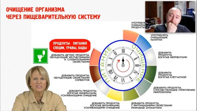 Кишечник – второй мозг.  Ферменты.  Бактерии