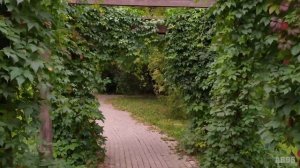 Парк около станции метро "Кунцевская"