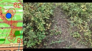 Первенство города Оренбурга 11 09