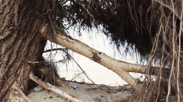 Калининград 2017 смотреть онлайн