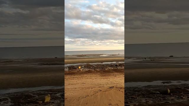 Самое Белое море #россия #заполярье #море #белоеморе