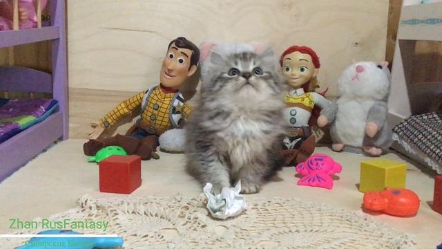Zhan RusFantasy