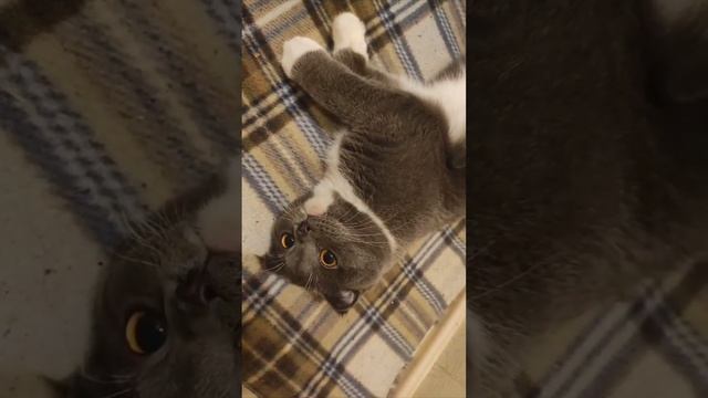 Пожелания выздоровления маме от Марсюши ❤☺