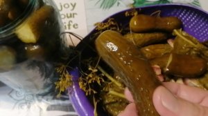 Огурцы квашенные на зиму 04-10-2024