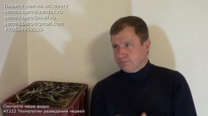АТ377 Какие Черви Вам нужны Советы профессионалов ИП Ткаченко Андрей Сергеевич