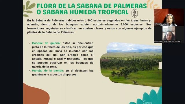 Avance de Portafolio 1 - Pantano De Palmeras смотреть онлайн