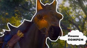 Ведьмак 3 Дикая Охота, квест о чем говорят кони, разговоры с плотвой