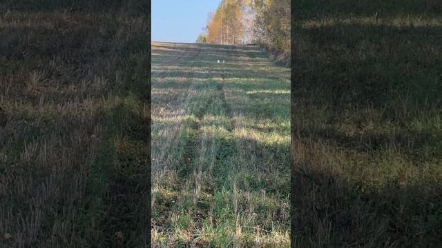 #релоадинг #стрельба