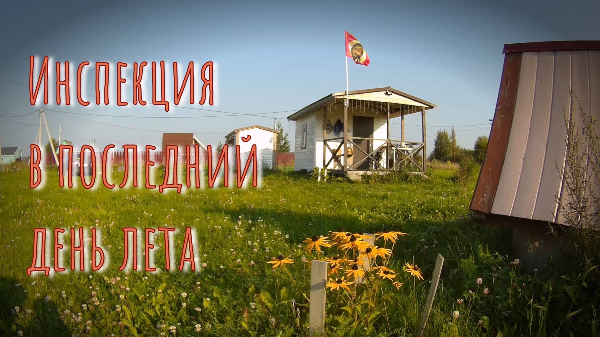 31.08.2024 Ревизия огорода в последний день лета.