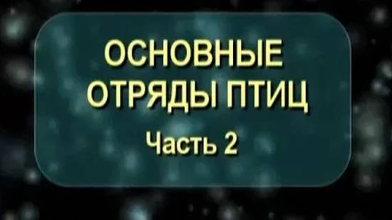 Основные отряды птиц. Часть 2. Биология