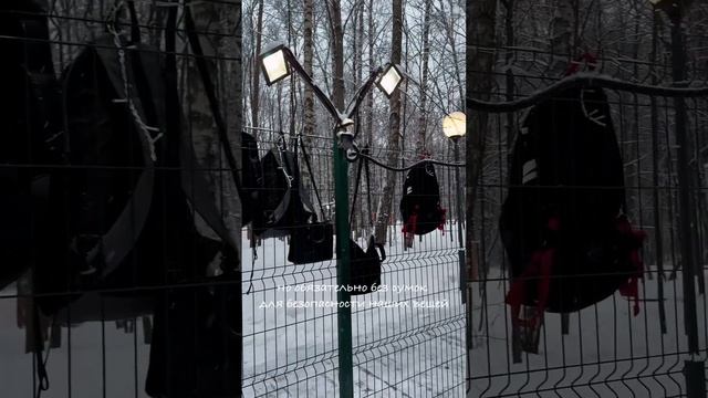 Куда сходить с ребенком зимой в Москве? Хаски Парк #кудасходитьвмоскве #развлечениедлядетей
