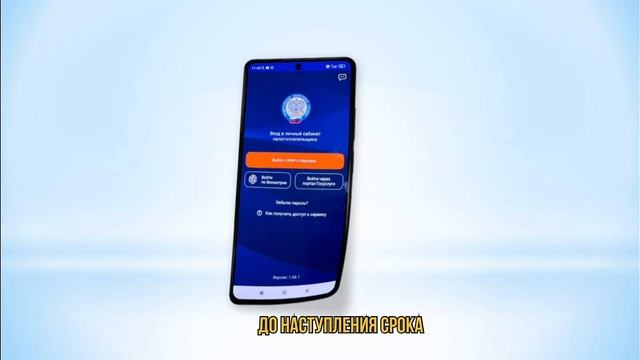 О сроках уплаты имущественных налогов