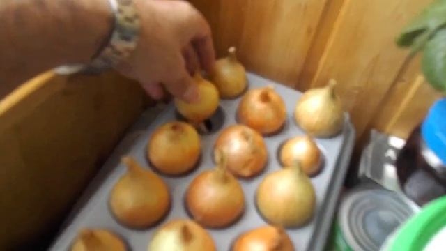 92 Тестирую установку Луковое счастье 1 часть (начало). смотреть онлайн