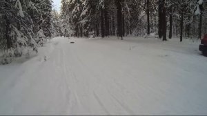 Remo Hobby Dinosaurs master