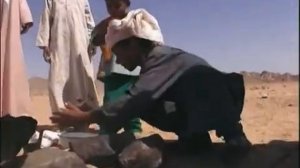 Египет, 1 часть. В поисках приключений с Михаилом Кожуховым