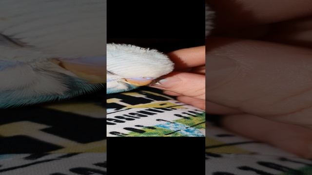 наши детки