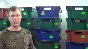 АТ291 Картон перерабатываем ЧЕРВЯМИ ККЧТ в Биогумус Вермикомпост Ткаченко