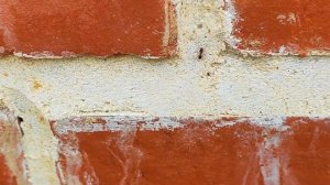 Это только начало лета. Сергей Литвяков. Муз. Б. Ривчун, сл. В. Харитонов. Премьера клипа, 2022