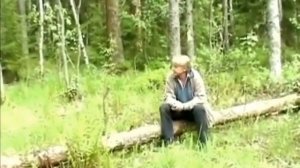 СИНЕЕ НЕБО РОССИИ ВЛАДИМИР БАЛАГИН