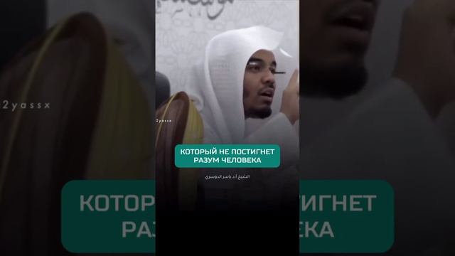 Если бы раскрыли тебе сокровенное