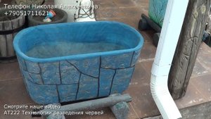 НИ31 Брусника посадка в горшки по методу Николая Алексеевича