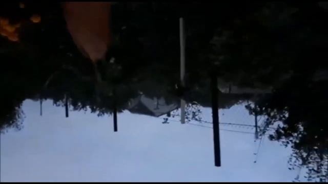 НИ23 Морковь на биогумусе. Посев, уборка и сравнение урожая. Разведение червей Тигретта, ККЧТ и др
