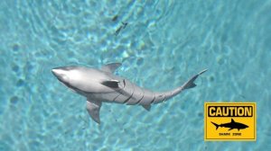 71126_ROBO ALIVE_GREAT WHITE SHARK_DEMO_MASTER