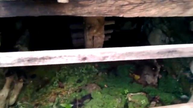 ETAR, Gabrovo - Bulgaria (October 2010) pt.03 смотреть онлайн