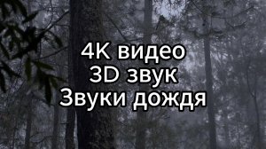 Расслабьтесь под 4K Видео и 3D Звуком: Успокаивающие Звуки Дождя для Медитации и Сна