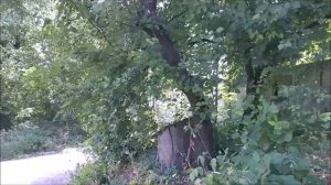 прогулка по Абакумова