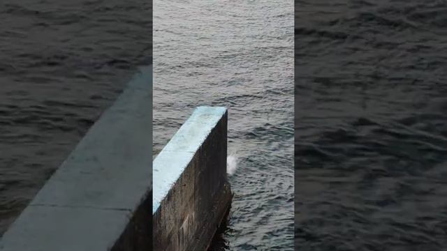 Прыжок с волнореза