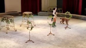 уголок дедушки Дурова