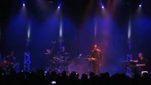 Dolphin Дельфин Серебро Акустика Эрарта Санкт-Петербург 30.06.2016