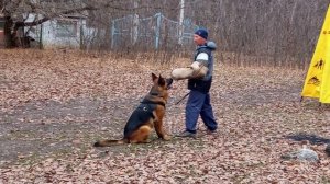 Норд Хартвин Супер Агент. Лобовая атака.