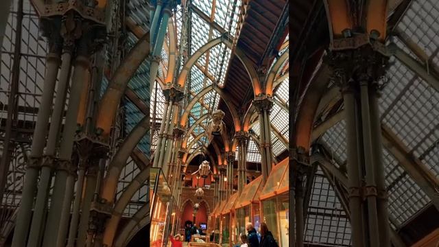 Oxford University Museum of Natural History | Oxford University | UK #england #travel #museum