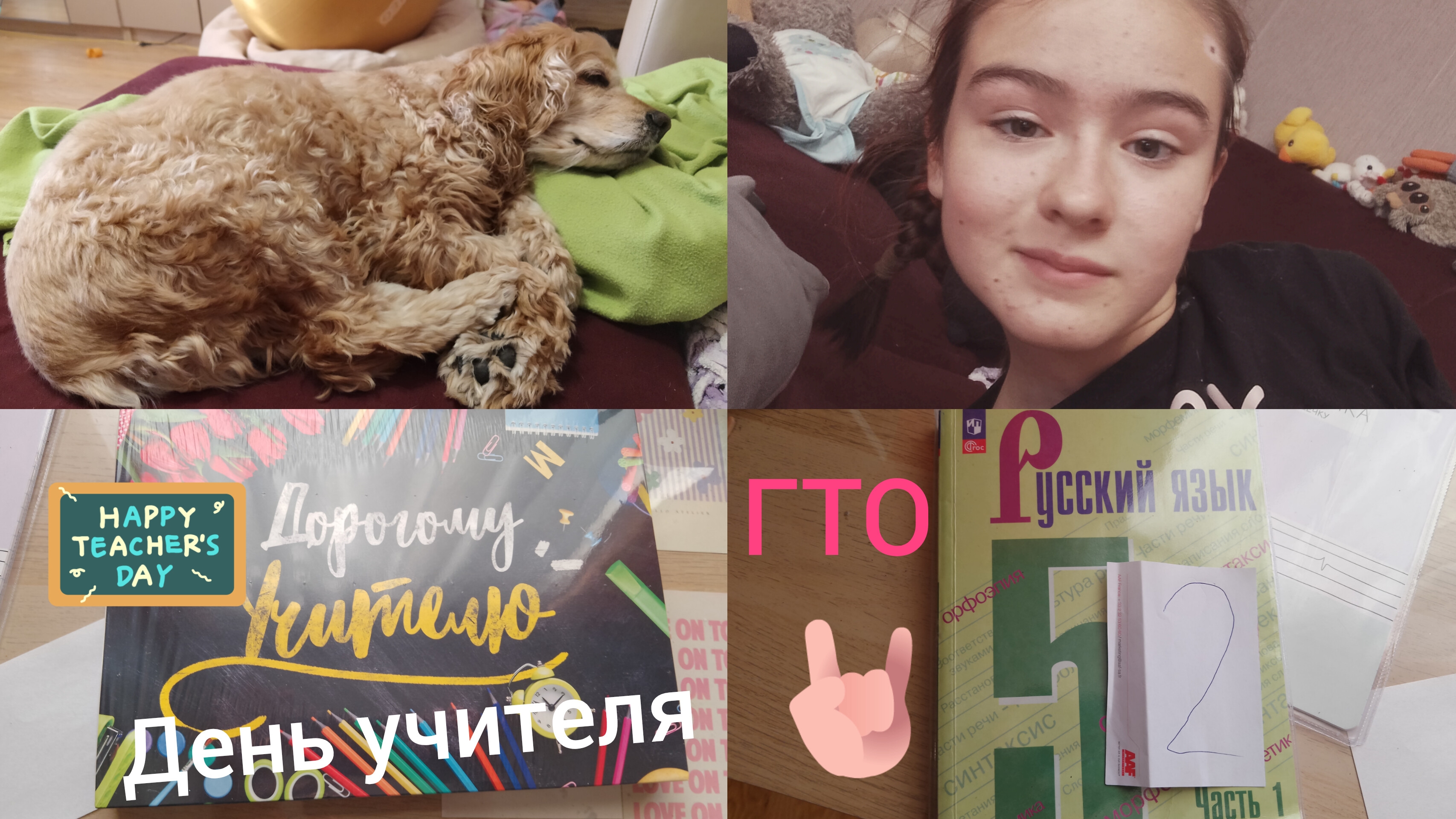 день учителя 〡подарки〡ГТО〡восстановление