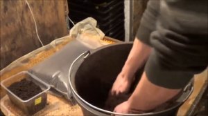 АТ141/2 Дендробена в трёх разных субстратах. Черви Старатели,  Калифорнийские