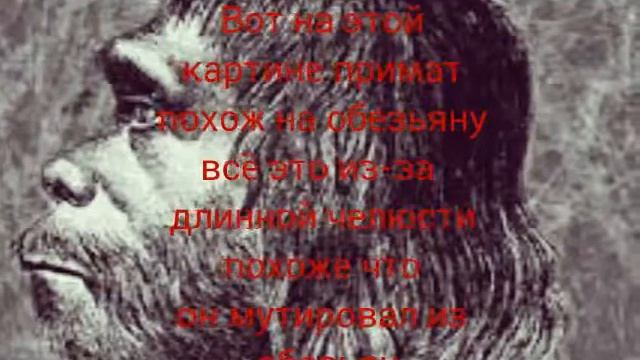 Кто такие неандертальцы