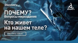 ПОЧЕМУ? ВОПРОСЫ МИРОЗДАНИЯ: КТО ЖИВЕТ НА НАШЕМ ТЕЛЕ? | DISCOVERY