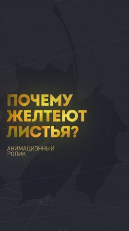 Почему желтеют листья? | На Глобусе