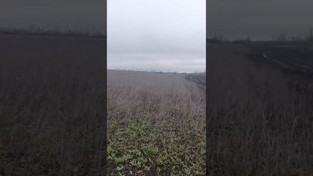 Запорожский фронт Работино. 15.04.2023г Штурмовики 71Полк Шторм и лесной кот на спецоперации 
Якудза