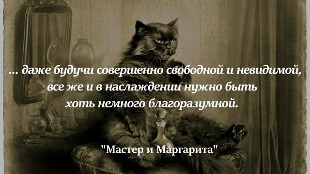 Цитаты из романа 